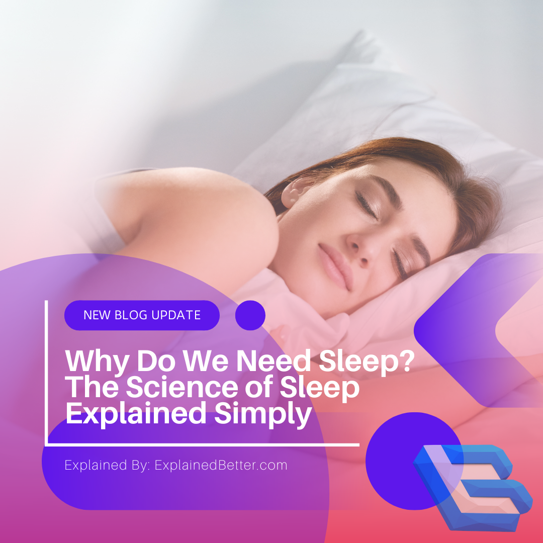 Why Do We Need Sleep The Science of Sleep Explained Simply