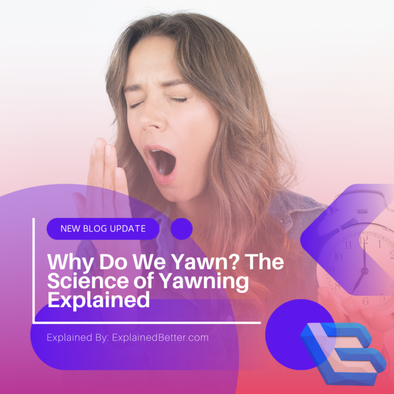 Why Do We Yawn? The Science of Yawning Explained